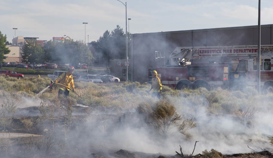 Brush fire